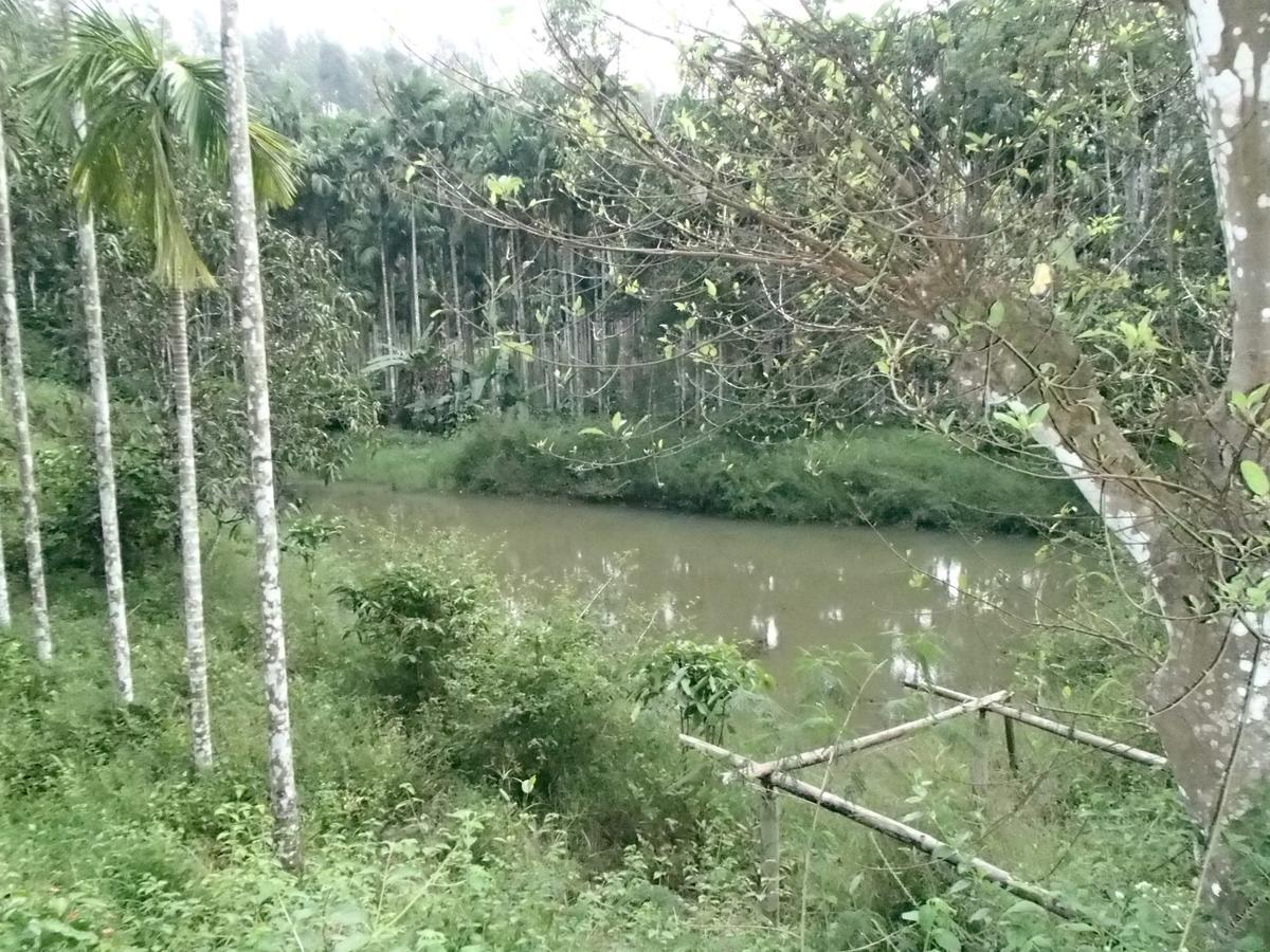 Coorg 4 C'S Little Paradise Madikeri Exterior foto